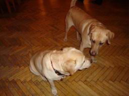 Resize of DSC00025.JPG